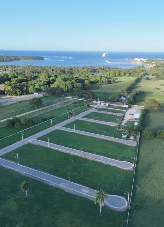 Drone View
